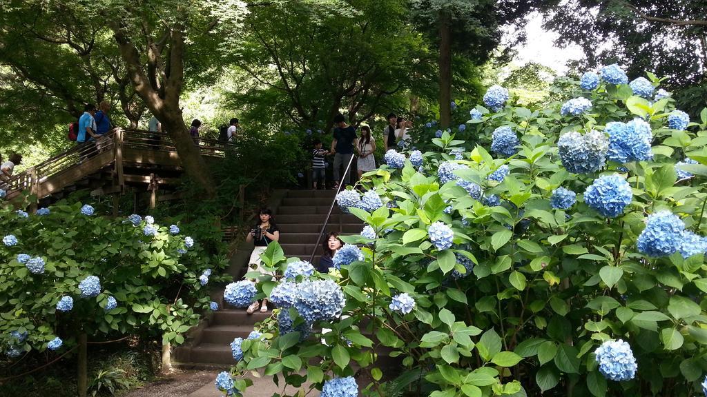 Enoshima Guest House 134 Fujisawa Exterior foto